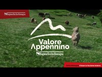Valore Appennino | Spot conferenza montagna 2022