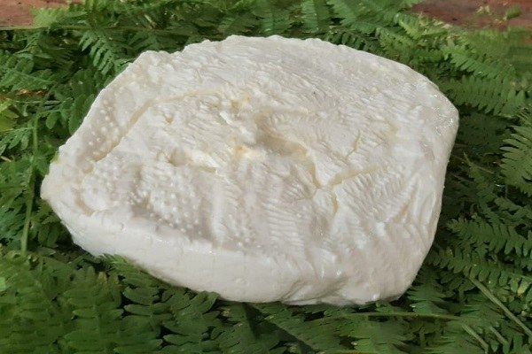 Bagno di Romagna (Fc): il "raviggiolo" (formaggio tipico)