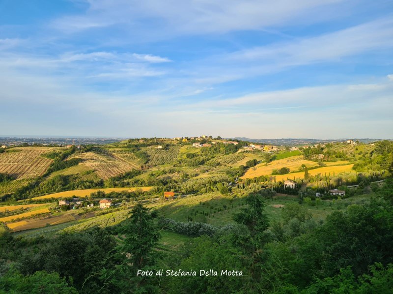 Borghi (Fc): panorama. Foto di Stefania Della Motta