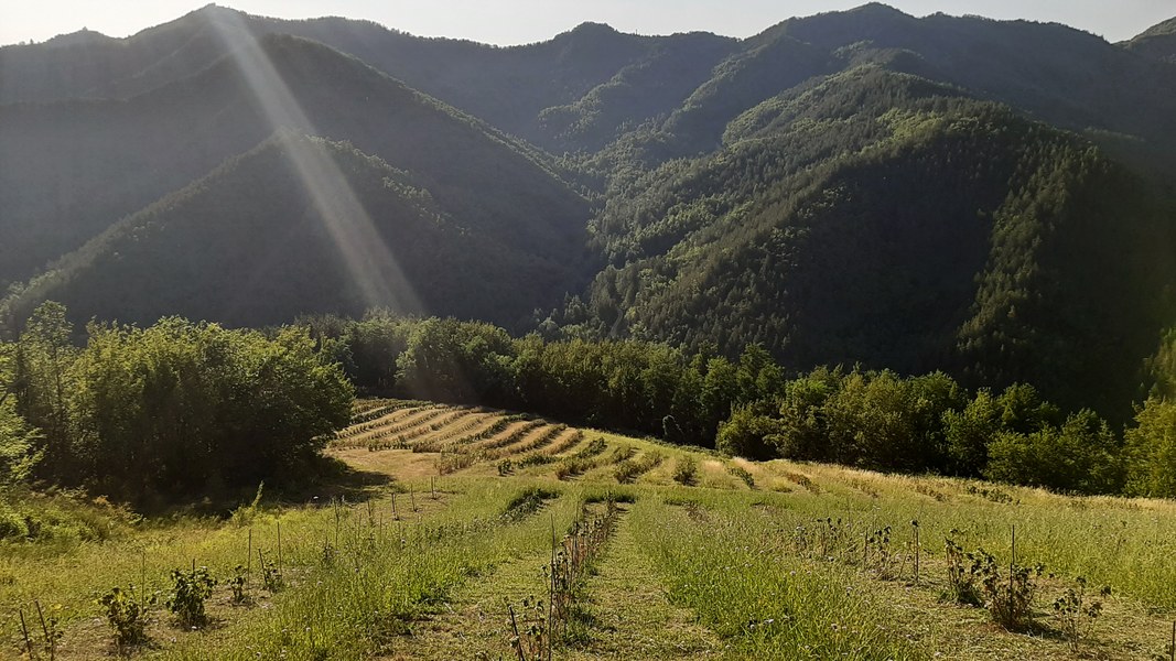 Casola Valsenio (Ra). Il Sentiero della Pace, da Casola Valsenio a Monte Battaglia. Foto di Giorgio Sagrini