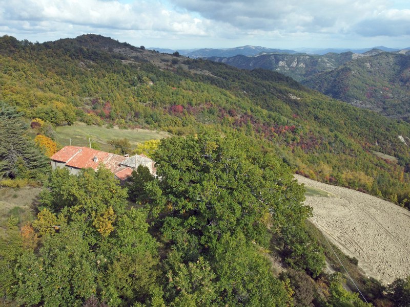 Premilcuore (Fc): veduta aerea della roverella località Montalto Vecchio
