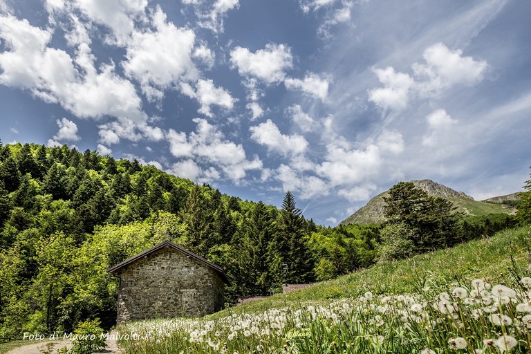 Villa Minozzo (Re). Il sentiero 605 che parte da Civago e arriva al Rifugio Segheria. Foto di Mauro Malvolti