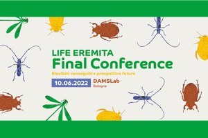 Conferenza finale del progetto Life Eremita: risultati conseguiti e prospettive future