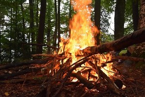 Incendi boschivi: Bollettino Verde fino al 26 aprile