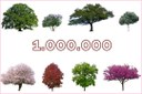"Mettiamo radici per il futuro": già distribuito un milione di alberi in Emilia-Romagna