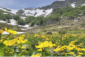 Online il nuovo sito dell’ente parchi Emilia Centrale dedicato ai percorsi escursionistici