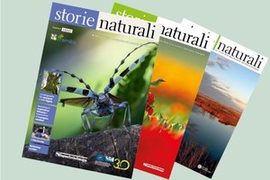 Parchi, Foreste e Natura 2000. E' uscito il nuovo numero di Storie Naturali n. 14/2022!