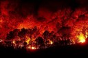 Via libera della Giunta al nuovo Piano regionale contro gli incendi boschivi