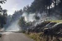 Incendio a Monte Romano di Brisighella (Ra). Una trentina i volontari impiegati