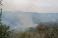 A Vergato (Bo), spento l'incendio in località Carbona. Interessata un'area di circa 50 ettari