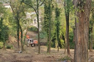 Civitella di Romagna (Fc), completati i lavori di regimazione delle acque superficiali e il taglio selettivo di alberi precari e instabili lungo il pendio adiacente l’abitato