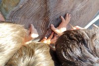Una vacanza nel Parco dell’Appennino tosco-emiliano per i bimbi alluvionati della Romagna