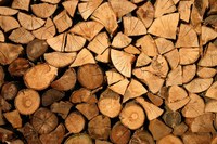 Boschi. Nuove tecniche di gestione per una nuova filiera del legno: più sostenibile da un punto di vista ambientale ed economico
